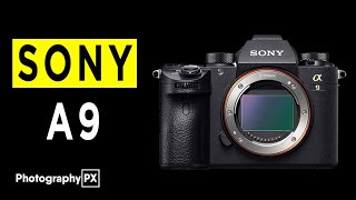 Sony a9 Mirrorless Camera Highlights & Overview