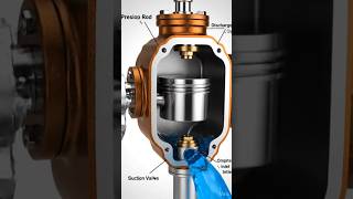 Reciprocating Pump Assembly