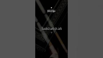 #القرآن_الكريم #quran #تلاوة_خاشعة #راحة_نفسية #قرآن
