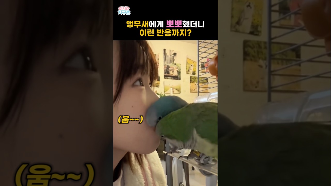 앵무새에게 뽀뽀했더니 이런 반응까지?
