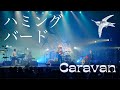 Caravan / ハミングバード【LIVE VIDEO】