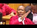 "Occupy Land" Julius Malema And EFF Removed From Parliament