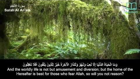 سورة الأنعام - مشاري العفاسي - مترجم | Surah Al An'am - Mishary Alafasi - English subtitles