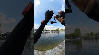 STRIKE UNGA guna udang Gostan #anglerindonesia #fishing #kolam  #casting #strike #dsdangler