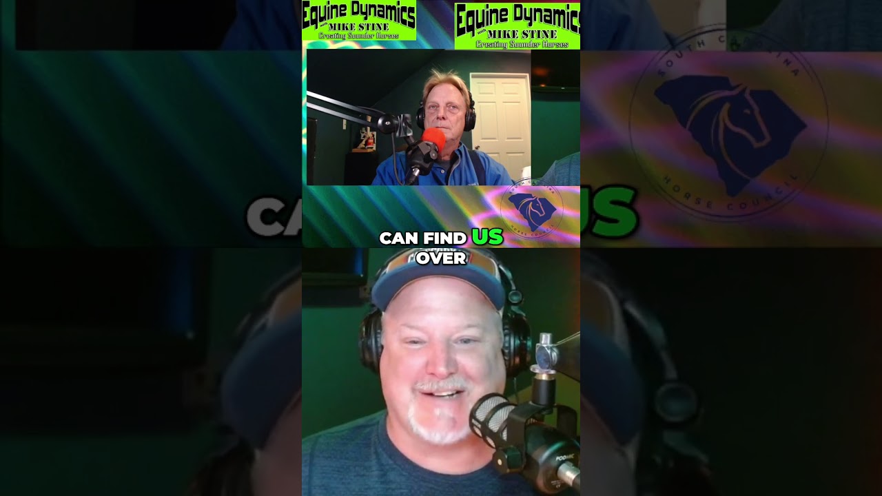 Rocky's Journey: 3-Legged Horse Inspires Equine Knowledge