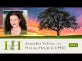 The healing home amandha vollmer on holistic health  dmso  ep 59