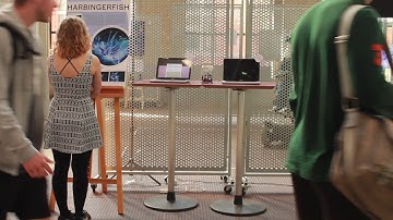 Harbingerfish (Soft Robot)