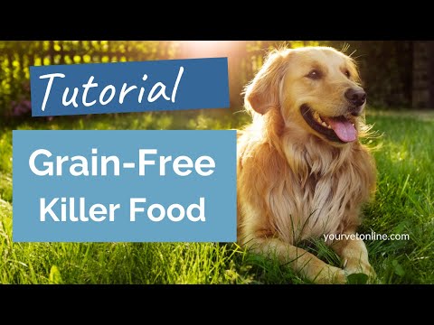 Video: Breeder's Choice Pet Foods Richiama La Formula Per Cani Adulti AvoDerm A Causa Della Possibile Contaminazione Conta