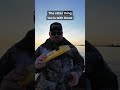 Why I Prefer Big Trolling Boards Over Inline Boards