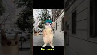 Муравей Балабол #анимация #cat #футаж #собаки #funny