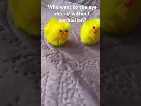 Guess who went to the eye doctor without permission last one? Third? Second? First?