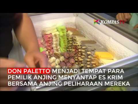 Video: Kedai Ais Krim Mesra Anjing Di New York City