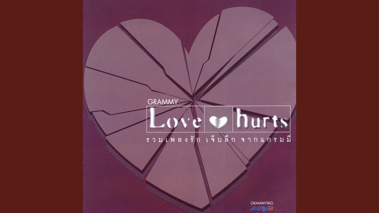 เพิ่งเข้าใจ