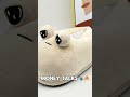 Money talks 🗣️🔥 #pou #plushies #plushtoys