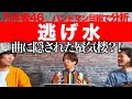 だからミラージュ!?「逃げ水/乃木坂46」をバンドマン目線で分析してみた。