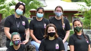 KITV4 Moving Forward: Big Island Humane Society with Maleko McDonnell