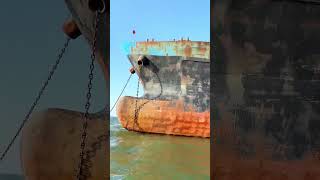 How Massive Ships Are Launched Into the Sea | Dry Docking &amp; Ship Launching Process 🔥