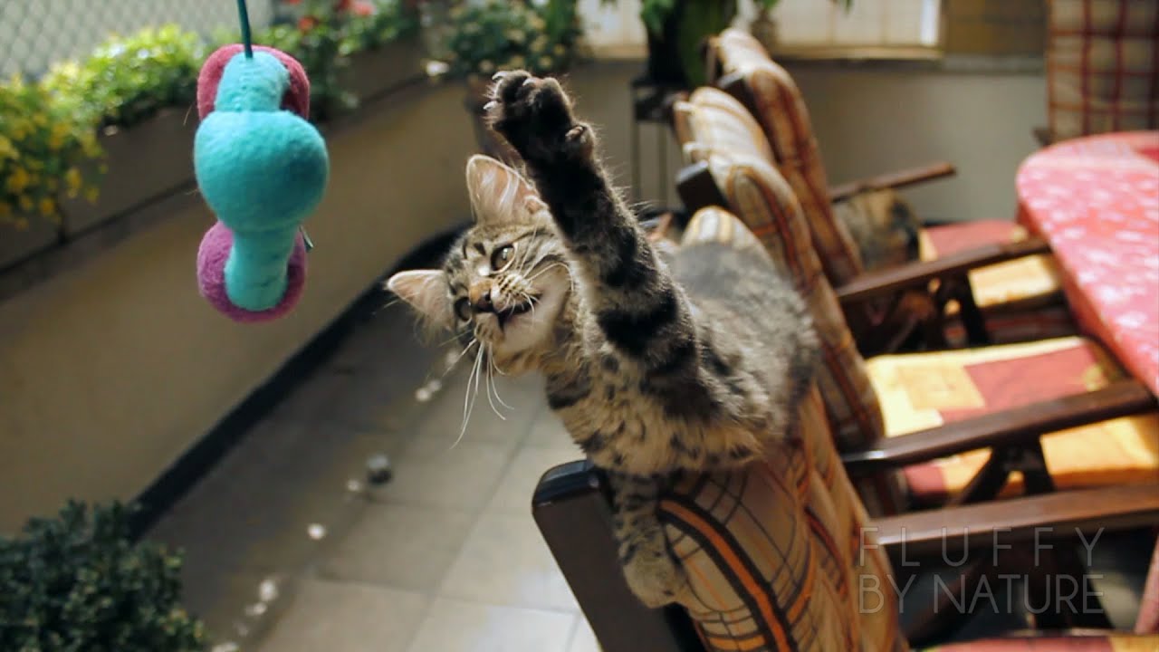 YOUNG NERO PLAYING OUTSIDE