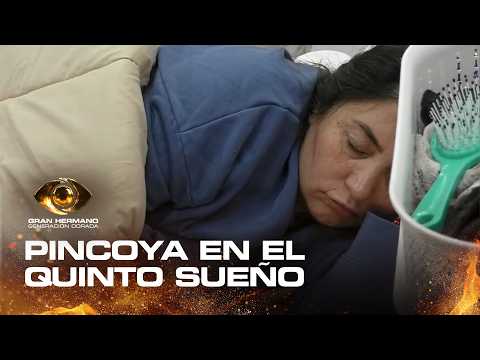 Si querés ver a Pincoya durmiendo siesta, este video es para vos - Gran Hermano 2026