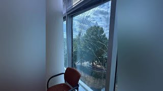 CDC employees react to shooting near campus