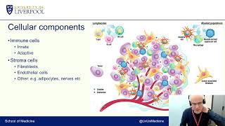 Cancer host cell interactions:  the role of the tumour microenvironment