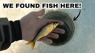 MICRO-Fishing in a Lake that Might NOT Contain Any Fish!