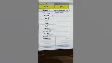 How to use eomonth formula in Excel #useful exceltips 👍