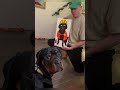 Why did he make that kind of face? #dog #foryou #funnydog #fyp #funnyvideo