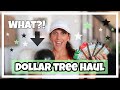 DOLLAR TREE HAUL **BRAND NEW CRAFT/DECOR ITEMS**