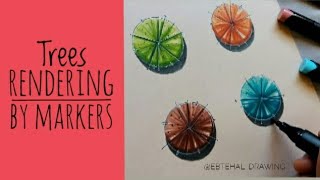 Famous TREES rendering in Site Plan / easy Tutorial / By markers Profile