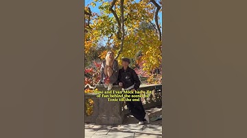Rosé and Evan Mock had a lot of fun behind the scenes of Toxic till the end #rosé #blackpink