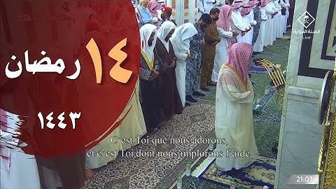 صلاة التراويح ليلة 14 من عام 1443 بالمسجد النبوي للشيخ خالد المهنا - من سورة التوبة