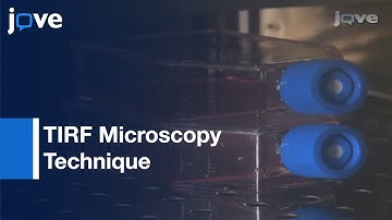 Real-Time, Simultaneous Imaging Of TCR & Associated Signaling Proteins l Protocol Preview
