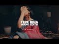 Tere bina  shreea kaul edit audio