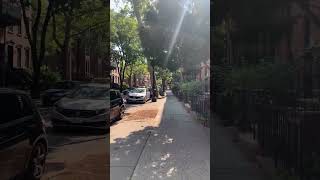 Sunday in Cobble Hill Brooklyn NYC #walking — Cobble Hill, Brooklyn, NY — community video