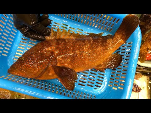 2023年6月18日父親節好多魚👍紅磡李生❗牛頭角🔥青衣雄記😍~fishcutting香港海鮮~社長遊街市Seafood社長遊街市-街市今日