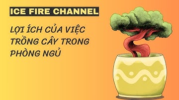 Tìm hiểu lợi ích của việc trồng cây trong phòng ngủ