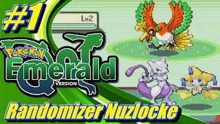 Pokemon Emerald Randomizer Nuzlocke HIGHLIGHTS Part 1 - DYKVG Plays