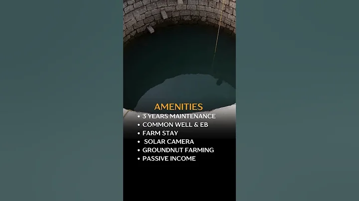 Mango farmland for sale