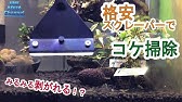 水草水槽器具のお手入れ方法 ガラス面の掃除方法 How To Clean The Inside Glass Of Aquarium Tank Youtube 水草水槽器具のお手入れ方法 ガラス面の掃除方法 How To Clean The Inside Glass Of Aquarium Tank Youtube