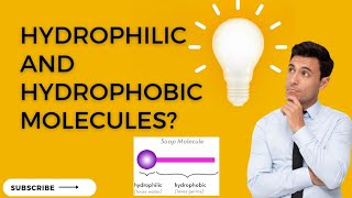 What are Hydrophilic and Hydrophobic molecules? Soap molecules ||| Soaps and Detergents