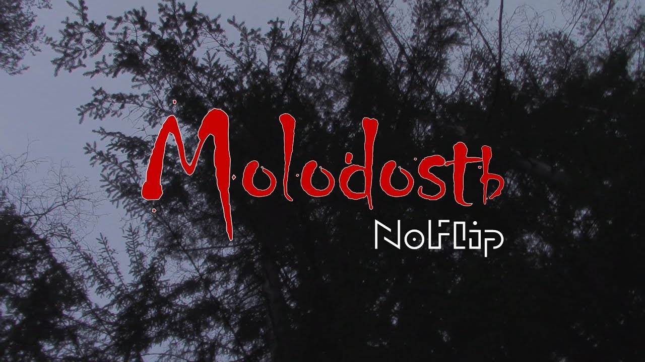 NoFlip - Молодость