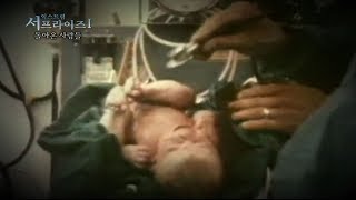 [서프라이즈] 실제로 존재하는 복제인간? 죽은 아들이 다시 살아돌아올 수 있었던 이유라고?