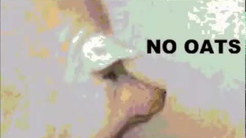 Brother, i must procure your oats but every time they say "oats" the video speeds up