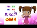 الأصابع باللغات الأربع ( العربية - الإنجليزية - التركية - الفرنسية ) | طيور بيبي Toyor Baby