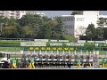 出石特別 3アルーブルト 幸英明 2021/11/20 5回阪神5日9R 阪神競馬場1800mダート