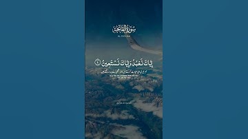 ‏رحم الله من قرأ سورة الفاتحة إلى أمواتنا وأموات المسلمين جميعا