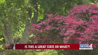 Pugh Garden is an Oasis in a Sea of Grass