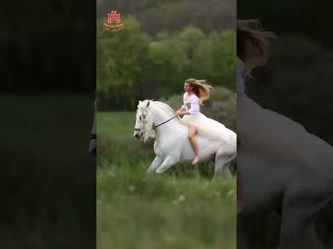 حیدر سلیم و سلما این قسمت و تقدیر است 