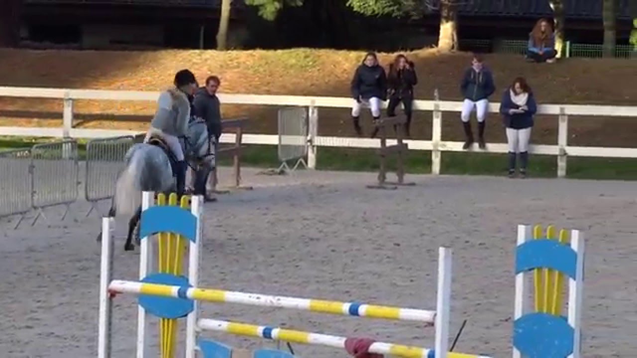 Axelle Borel et VAISKO DES CHENAUX - As Poney 2D CSO Dinard - 22.11.15
